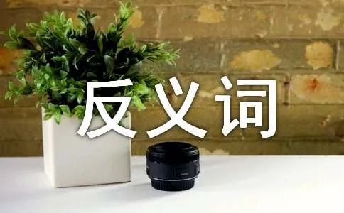 普通的反义词是什么