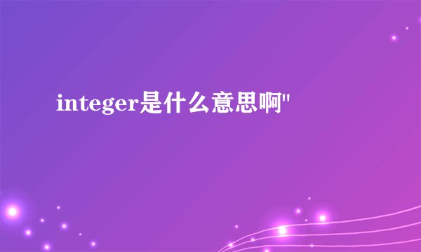 integer是什么意思啊